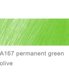 A167 permanent green olive