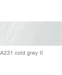A231 cold grey II