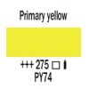 amster primary yellow