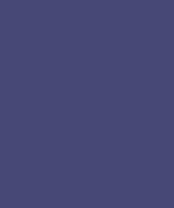 586 neo violet